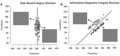 Differential Impact of Visuospatial Working Memory on Rule-based and Information-integration Category Learning